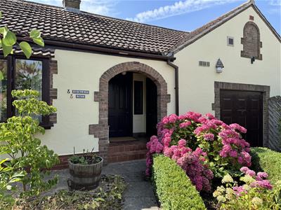 Picture 21